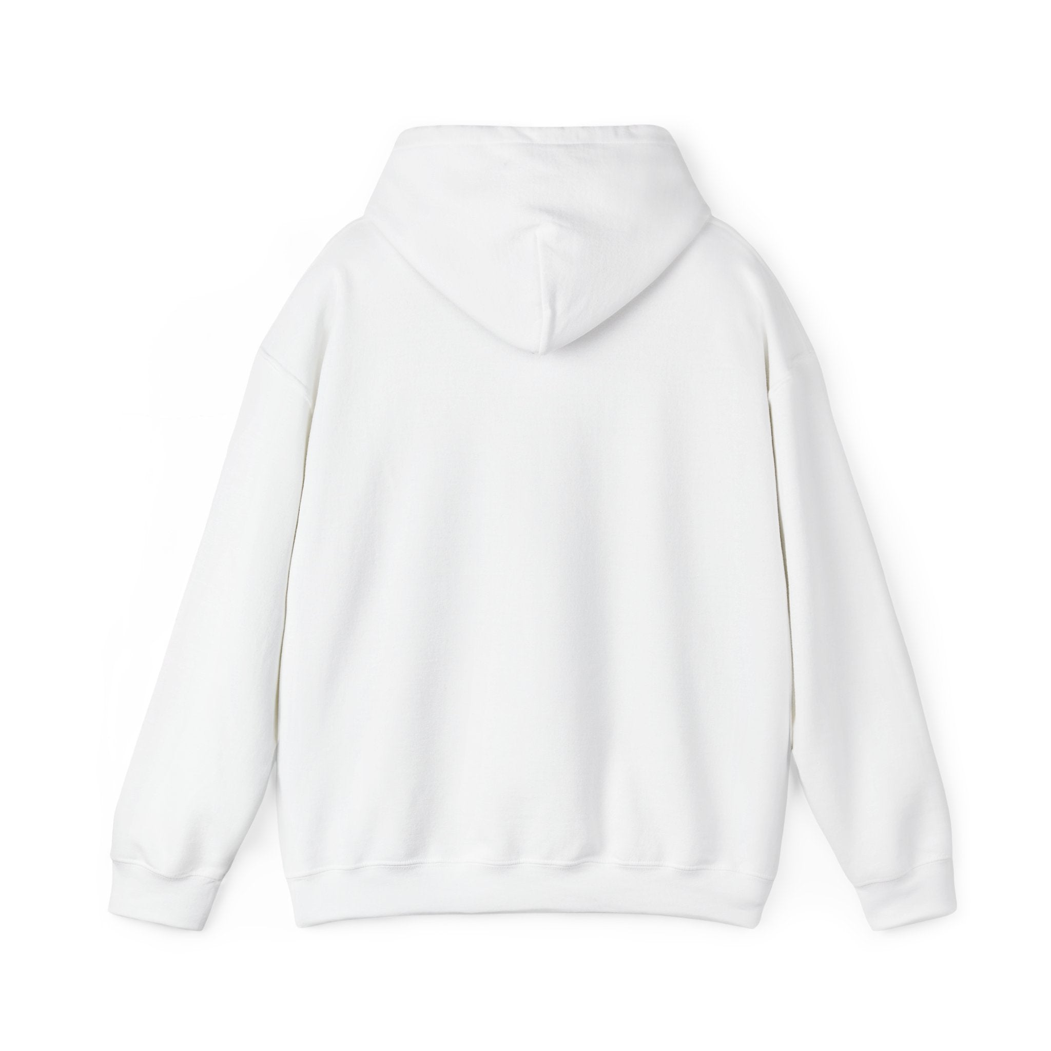 DNMS Core Hoodie