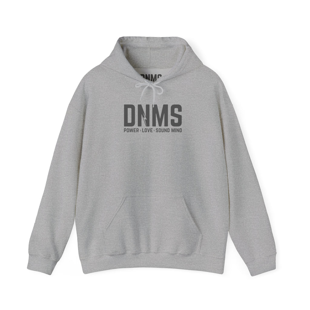 DNMS Lightning Hoodie