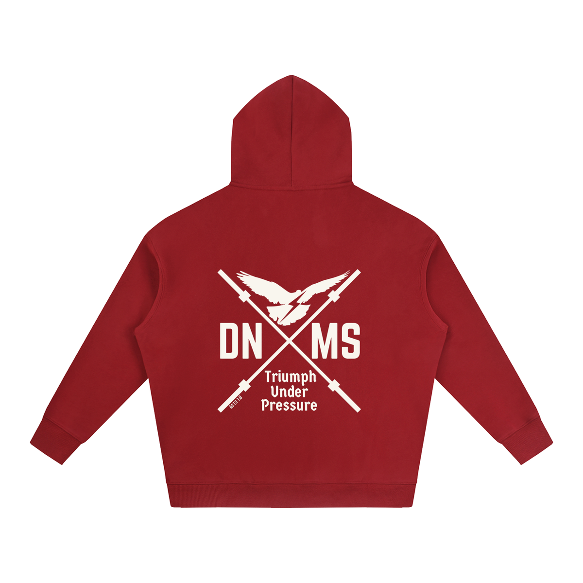DNMS Dove Oversize Fleeced Hoodie