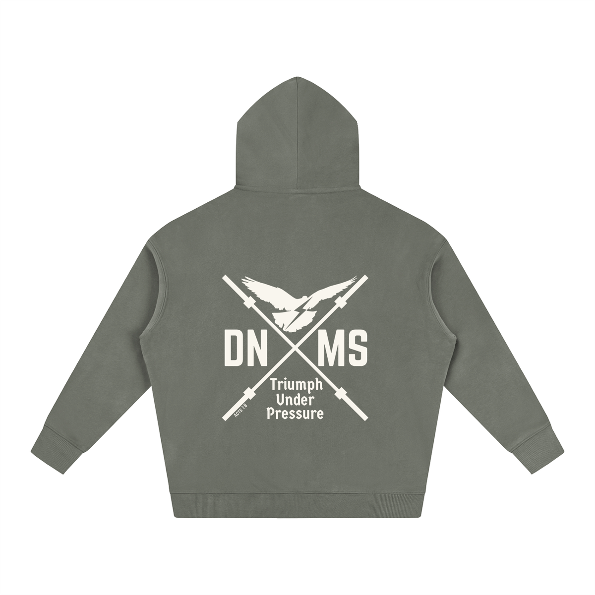 DNMS Dove Oversize Fleeced Hoodie