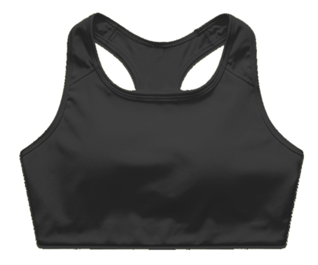 Core 2.1.7 Icons Sports Bra